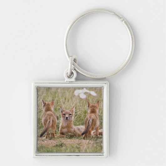 Vrouw met wift fox (Vulpes velox) met jonge Sleutelhanger (Voorkant)