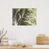 Vrouw Noord-Flicker Woodpecker Poster (Keuken)