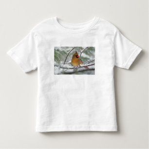 Vrouw noordelijke Kardinaal in snowy-pijnboom, Kinder Shirts