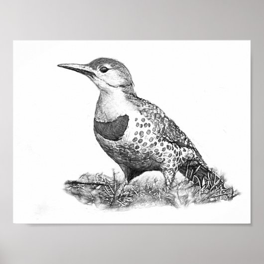 Vrouw Northern Flicker Poster (Voorkant)