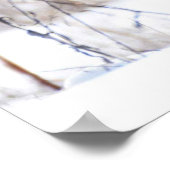 Vrouw Northern Harrier Poster (Hoek)