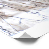 Vrouw Northern Harrier Poster (Hoek)