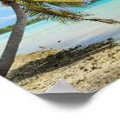 Vrouw onder een palmboom in het poster van de Stil (Hoek)