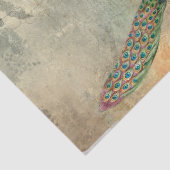 Vrouw Peacock Textures Letter Tissuepapier (Detail)