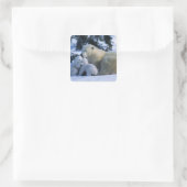 Vrouw Polar Beer Liggen Met 2 Cubs Vierkante Sticker (Tas)