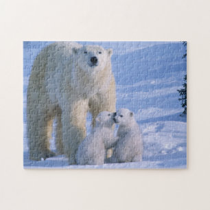 Vrouw Polar Beer met 2 kubussen bij haar Legpuzzel