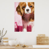 Vrouw Puppy King Charles Spaniel Poster (Keuken)