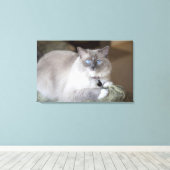 Vrouw Ragdoll Cat Canvas Afdruk (Insitu (Houten vloer))