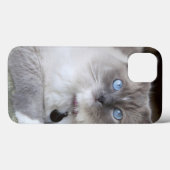 Vrouw Ragdoll Cat Case-Mate iPhone Case (Achterkant (horizontaal))