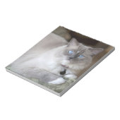 Vrouw Ragdoll Cat Notitieblok (Gedraaid)