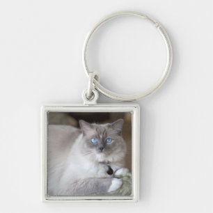 Vrouw Ragdoll Cat Sleutelhanger