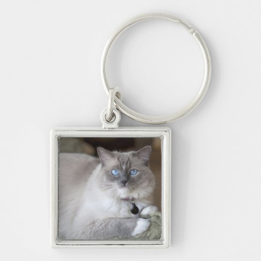 Vrouw Ragdoll Cat Sleutelhanger (Voorkant)