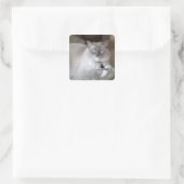 Vrouw Ragdoll Cat Vierkante Sticker (Tas)