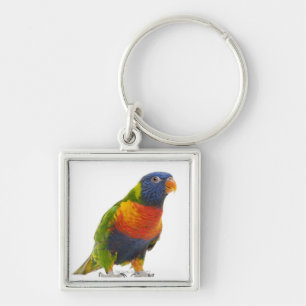 Vrouw Rainbow Loriket - Trichoglossus Sleutelhanger