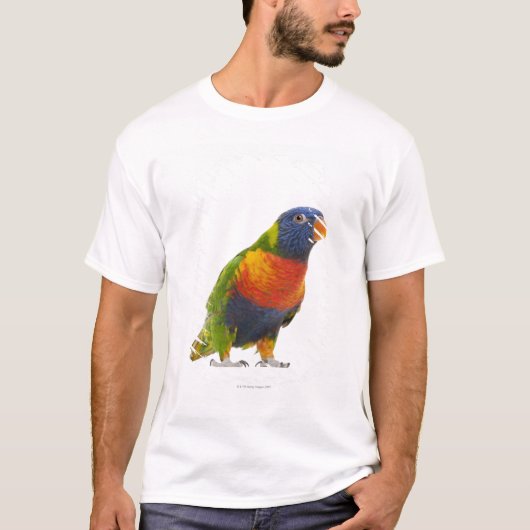 Vrouw Rainbow Loriket - Trichoglossus T-shirt (Voorkant)