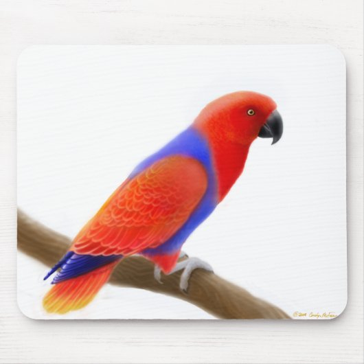Vrouw Red Eclectus Parrot Mousepad Muismat (Voorkant)