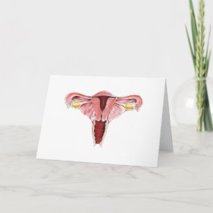 Vrouw reproductief Wenskaart Kaart