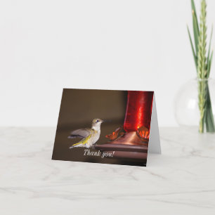 Vrouw Roodkeelvogel Hartelijk dank Kaart