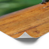 Vrouw Roos-gebluste Grosbeak vogelafdruk Poster (Hoek)