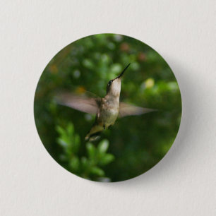 Vrouw Ruby Throat Hummingbird Button