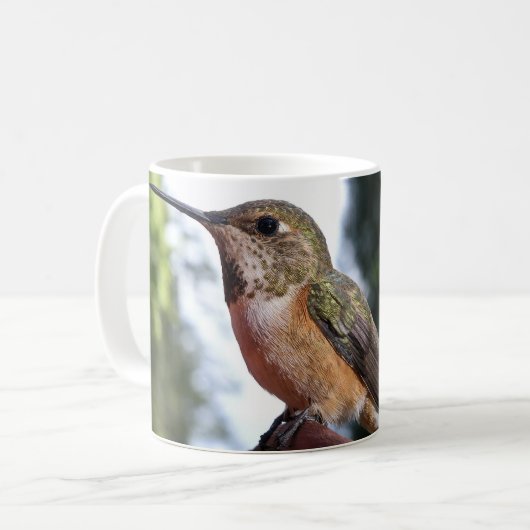 Vrouw Rufous Hummingbird - Mokken (Voorkant links)