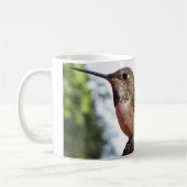 Vrouw Rufous Hummingbird - Mokken (Links)