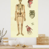 Vrouw Skeletaal Anatomie Poster (Keuken)