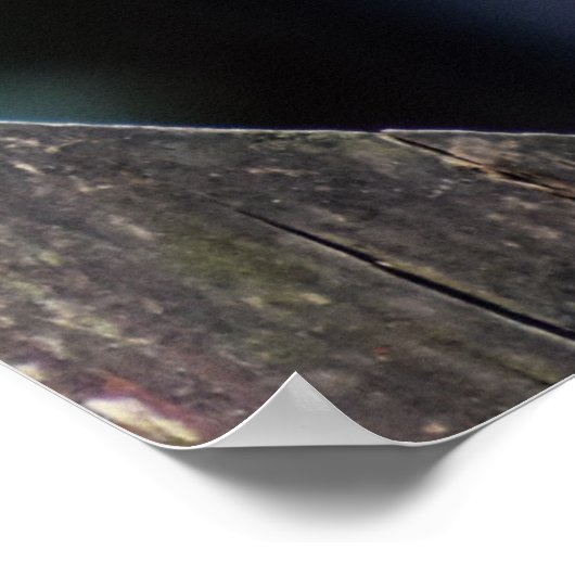 Vrouw Sparrowhawk Poster (Hoek)