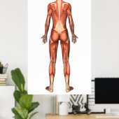 Vrouw spierstelsel- en bindweefselaandoeningen poster (Thuiskantoor)