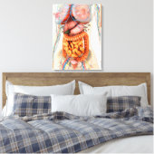 Vrouw spijsverteringsstelsel en bloedsomloop canvas afdruk (Insitu (Slaapkamer))
