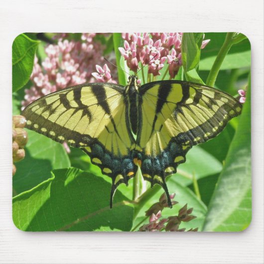 Vrouw Tiger Swallowtail Mousepad Muismat (Voorkant)