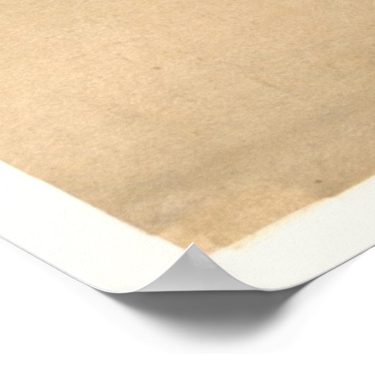 vrouw tijdens het Tanabata Festival Poster (Hoek)