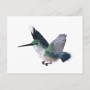 Vrouw van bijenvogel briefkaart
