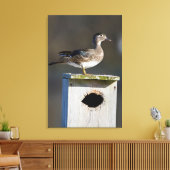 Vrouw van hout op nestbox in wetland canvas afdruk (Insitu (Woonkamer))
