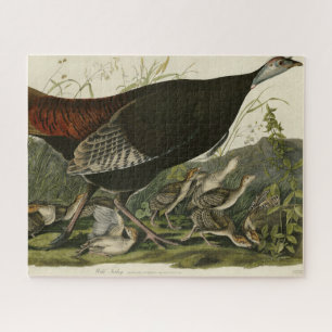 Vrouw Wild Turkey from Audubon's Birds of America Legpuzzel