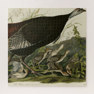 Vrouw Wild Turkey from Audubon's Birds of America Legpuzzel