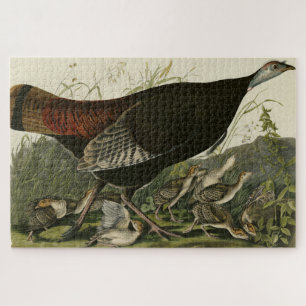 Vrouw Wild Turkey from Audubon's Birds of America Legpuzzel