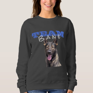 Vrouwelijk grijs team Bane Sweatshirt (met foto)