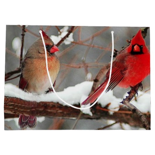 Vrouwelijke en vrouwelijke verjaardagsverjaardagsf groot cadeauzakje (Achterkant)