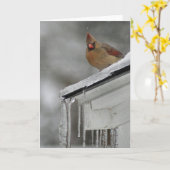 Vrouwelijke Kardinaal Kaart (Gele Bloem)