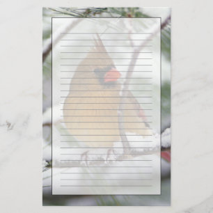 Vrouwelijke noordelijke kardinaal in besneeuwde pi briefpapier