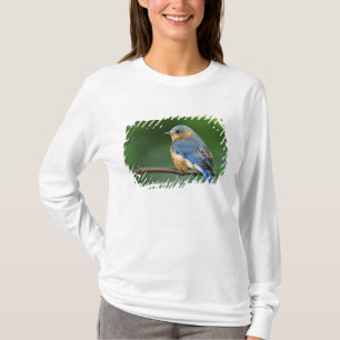 Vrouwelijke oostelijke blauwe lijster, Sialia sial T-shirt