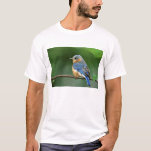 Vrouwelijke oostelijke blauwe lijster, Sialia sial T-shirt