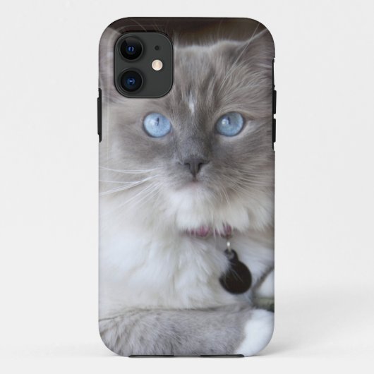 Vrouwelijke Ragdoll kat Case-Mate iPhone Case (Achterkant)