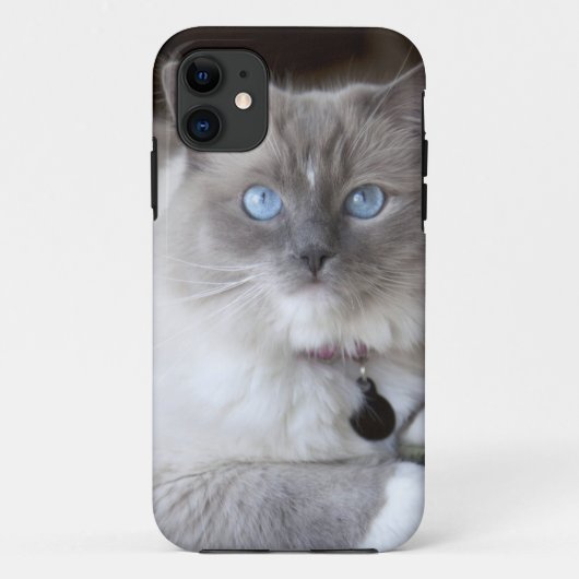 Vrouwelijke Ragdoll kat Case-Mate iPhone Case (Achterkant)