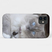 Vrouwelijke Ragdoll kat Case-Mate iPhone Case (Achterkant (horizontaal))