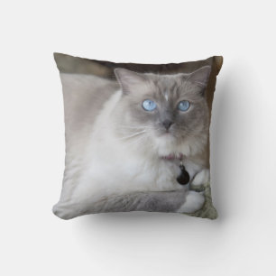 Vrouwelijke Ragdoll kat Kussen