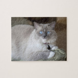 Vrouwelijke Ragdoll kat Legpuzzel