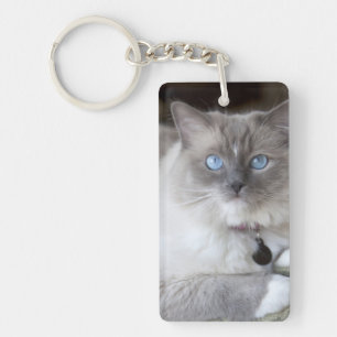 Vrouwelijke Ragdoll kat Sleutelhanger