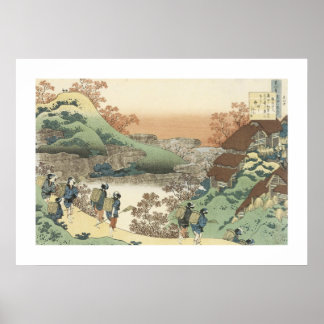 Vrouwen die terugkeren naar huis (wit) poster